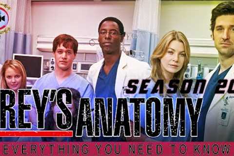 Grey's Anatomy Season 20: Everything You Need To Know - Premiere Next