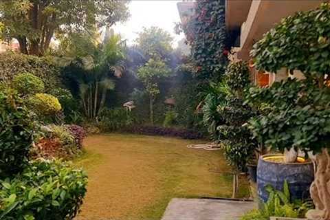 Beautiful Overview Of My Parent's Garden||Explore your hobbies!!!