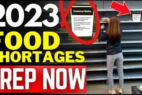JUST RELEASED: 8 Food Shortages for 2023 | Empty Shelves 2023