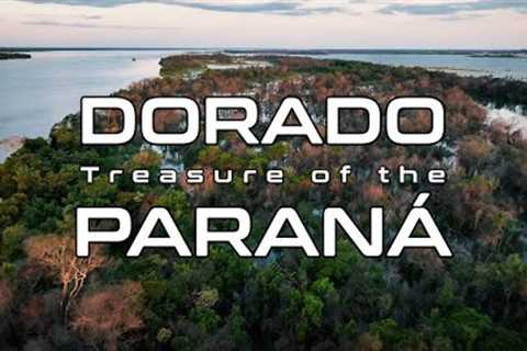 Golden | Dorado: Treasure of the Paraná -  Fly Fishing in South America