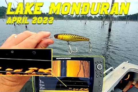 Strong Winds and Rain - Fishing Lake Monduran April 2022