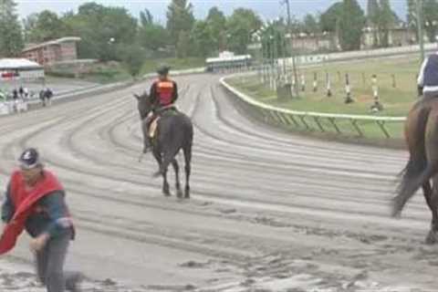 'Most Dangerous Job' in horse racing with amazing footage (outriders)