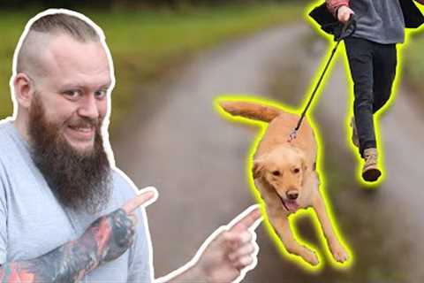 How To Stop Your Dog PULLING On The Leash