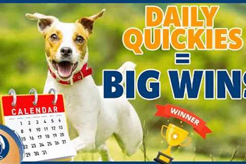 Using Daily Quickies To Fast Track Your Dog Training And Grow Your Dog's Skills #190 #podcast