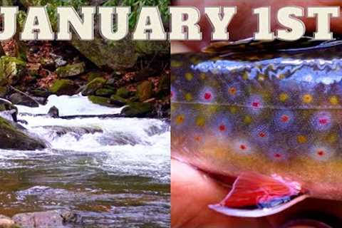BEST NEW YEARS DAY TROUT FISHING I'VE EVER HAD (Fly Fishing)