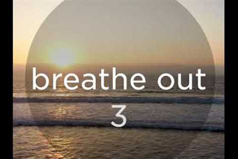Mindful Breathing Meditation