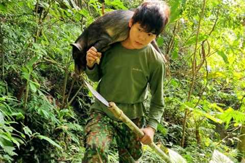 Survival, skills, find food for wild boar, trap wild boar, survive alone in the forest
