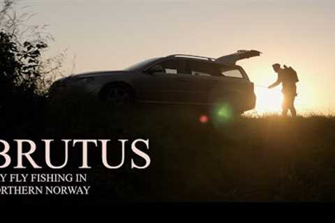 Brutus | Dry Fly Fishing in Northern Norway