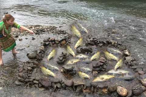 Primitive life in tropical forest, Survival skills in nature, Build a matrix trap to catch fish