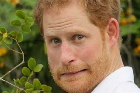 This was Prince Harry's life before he met Meghan