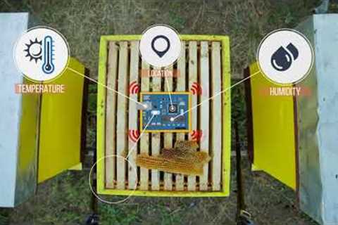 Save the bees with BeeWeb IoT device