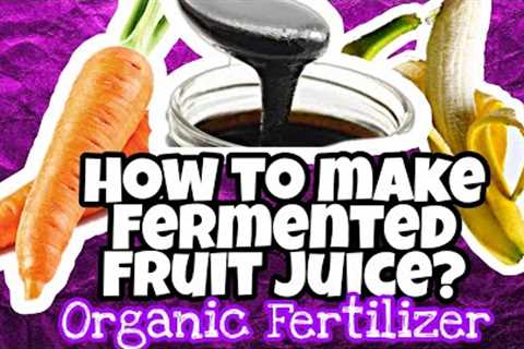 How to make Fermented Fruit Juice? ||Foliar Fertilizer|| Organic Fertilizer||