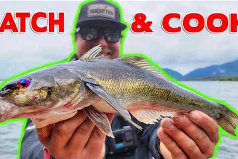 I TRAVELED TO CHILE &amp; Discovered NEW FISH SPECIES! (Catch &amp; Cook)