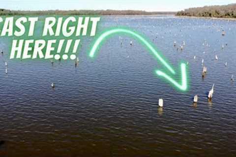 Fish The Best Structure On Lake Fork Without Electronics: See Creek Channels With Naked Eyes!!!