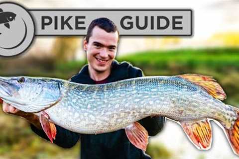A Beginners Guide To Pike Fishing - Tactics, Bait, Lures, Rigs, and Unhooking
