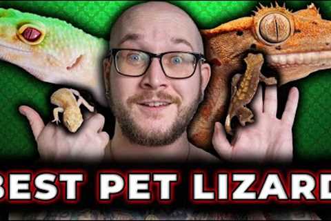 Leopard Gecko Vs Crested Gecko | Which is The Best Pet Lizard!?