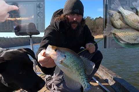 Catching crappie/bass/hybrids on Lake Degray.  Good batch of fish