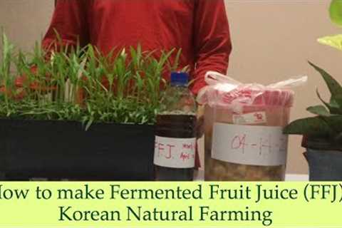 How to Make Fermented Plant Juice (FFJ) : Korean Natural Farming [knotrain2020]