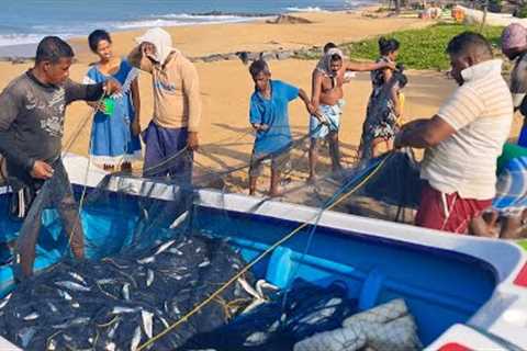 Amazing !! Sea Beautiful Place Live Net Fishing Video | Million Of Fish