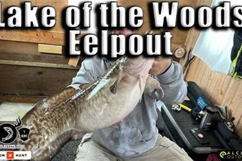 Eelpout Fishing is HOT at Lake of the Woods (Latest Fishing Report)
