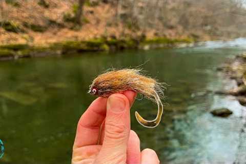 This WEIRD Streamer Caught TONS of Fish! (Winter Fly Fishing)