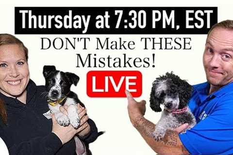 The 5 COMMON Training MISTAKES That New Dog Owners Make