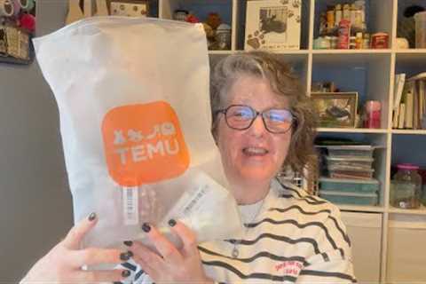 Huge Temu Haul | 21 items for $90!