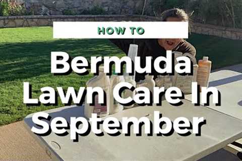 Bermuda Grass Lawn Care In September 2022