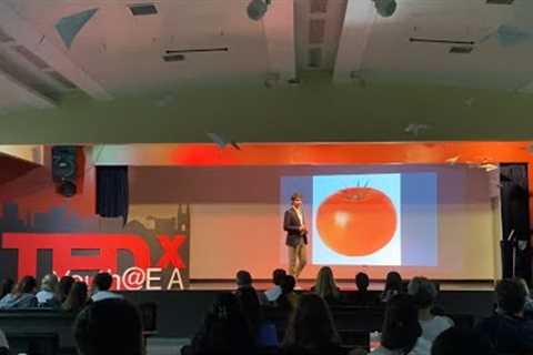 Why Is Productivity a Driving Factor For Success? | Alejandro Simán | TEDxYouth@EA