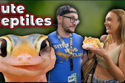 Top 5 Cutest Pet Reptiles In The World!