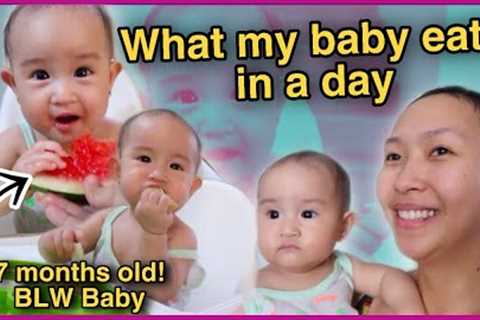 WHAT MY 7 MONTH OLD EATS IN A DAY! | BLW BABY