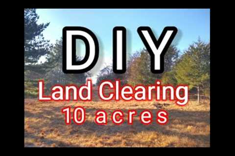 I cleared 10 acres by myself | We Built Our Own House