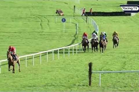 BLOOD DESTINY enhances his Triumph Hurdle claims with runaway win - Racing TV