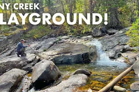Does Creek Fishing Get Any More FUN Than This?? (Tenkara Fly Fishing)