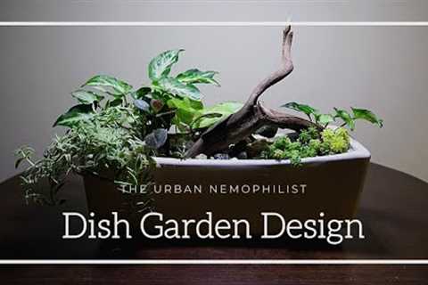 Dish Garden Design | How to make a beautiful miniature landscape