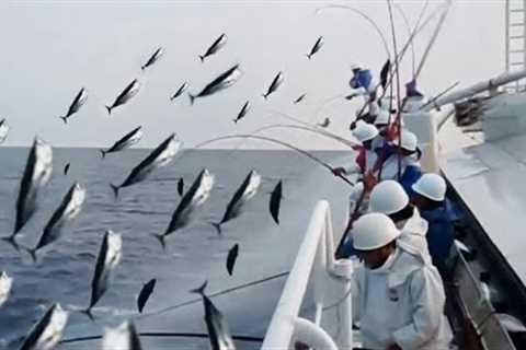 Amazing Fast Bluefin Tuna Fishing Skill Too Many Fish...Catching Fish Big on The Sea