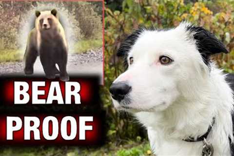 Mastering Real-World Socialization! Training my dog to be bear-proof!