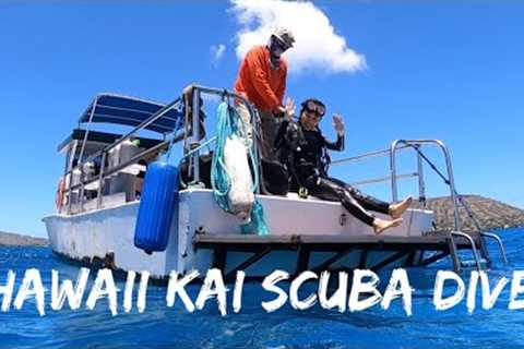 Scuba Diving in Hawaii Kai with Aaron's Dive Shop