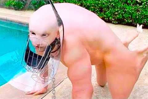 A Farmer Discovered Something Weird Outside His Farm Fields