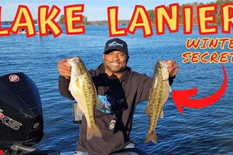 Lake Lanier Bass Fishing Ditches - Winter Bass fishing Report
