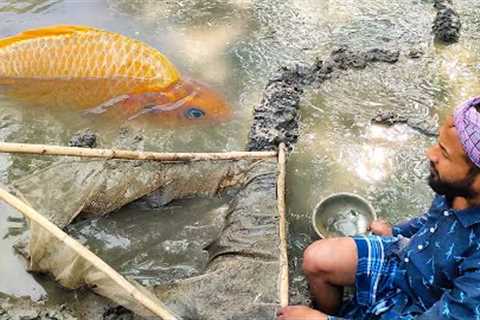 Discovering the Art and Culture of Village Fishing by Hand: Techniques, History, and Community