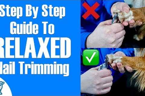 How To Clip Dog Nails - Professional Dog Training Tips