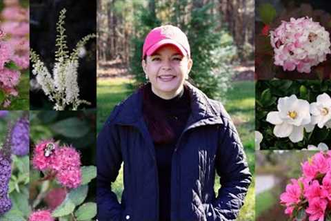 Top 10 Shrubs for the South (And Beyond) | Gardening with Creekside