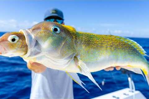 The HUNGRIEST Deep Sea Fish... Catch Clean Cook (Golden Tilefish)