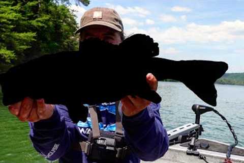 My NEW PB?! Fishing Parksville Lake ft. Creek Fishing Adventures