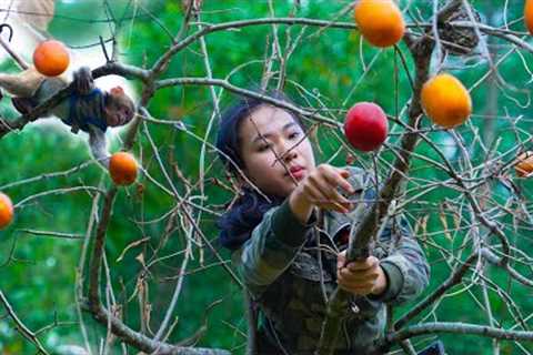 Pick Persimmons and Dig up Tubers For Reserve Food/ The Journey to Build a Farm, Part 6