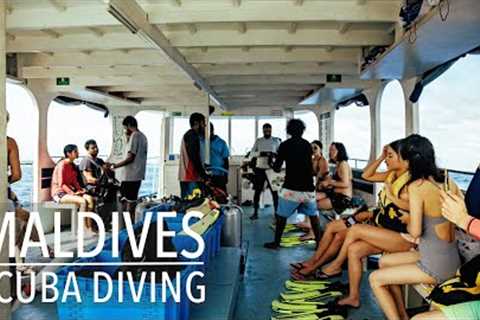 Scuba Diving in Maldives | Experience with Dive Club Maldives Hulhumale'
