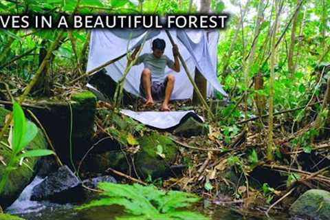 Bushcraft survival skills cooking and shelter building