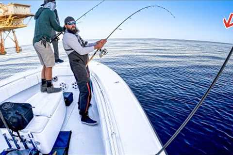 EPIC Battle with The STRONGEST Fish In The Ocean! **120 Miles Offshore**