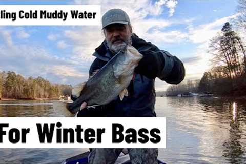 Lake Lanier High Muddy Water Fishing #lakelanierfishing2023